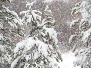 11 snowing! (New Moon)