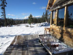 12 a snow! (Springtime in January)