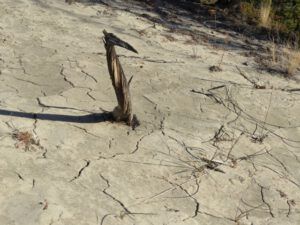12 cracked ground (The Full Moon that Wasn’t)
