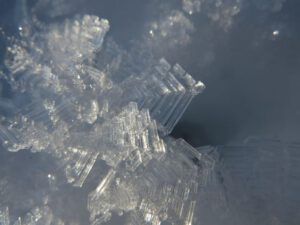 12 ice crystals (Springtime in January)