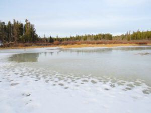 12 still thawing (First Post of the Year – and it’s Still Thawing.)