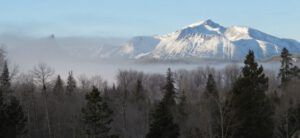 14 fog (Springtime in January)