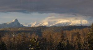 16a fog lifting (Springtime in January)