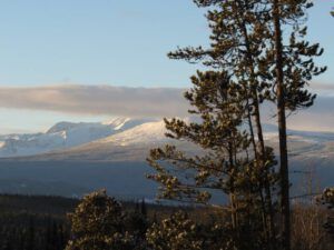 17 Perkins Peak (Springtime in January)