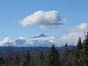 18 middle mt (Springtime in January)