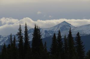 2. mostly gloom PP (First Post of the Year – and it’s Still Thawing.)