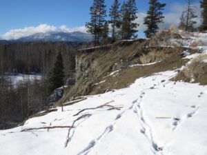 20 bluff (Springtime in January)