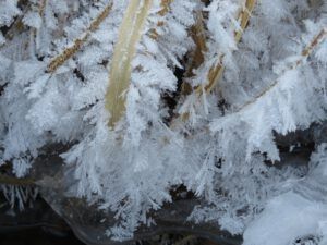 3 frost 2 (New Moon)