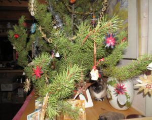 4 Ruby and tree (New Moon)