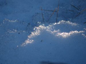 4 thawing snow (Springtime in January)