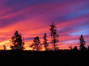 5 sunrise (Springtime in January)