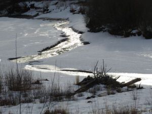 7 river (The Full Moon that Wasn’t)