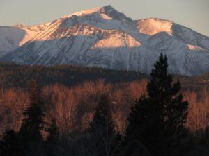 8 middle mt (Springtime in January)