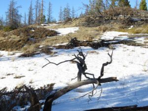 9 north bluff (The Full Moon that Wasn’t)