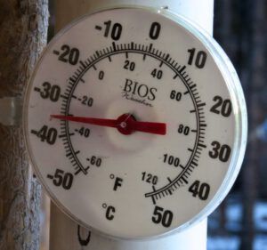 1 thermometre (February Freeze)