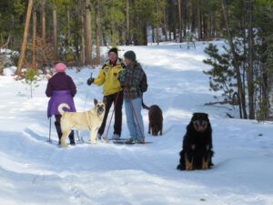 10 Dog visits (Manuscript Sent To Publisher)