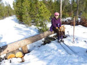 11 log seat (Manuscript Sent To Publisher)