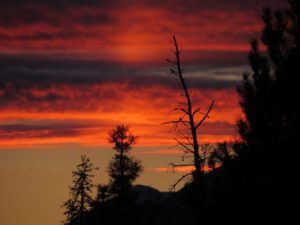 2d sunset (February Freeze)