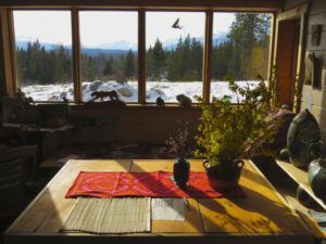 1. spring inside (Lonesome: Memoirs of a Wilderness Dog is Ten Years Old)