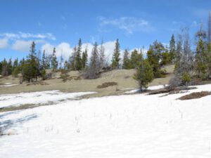 10 bluffs (Nuk Tessli In Haaretz)