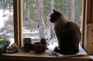 11 ruby (Now the Snow Won’t Quit!)