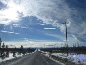 11.  Near Tatla (Lonesome: Memoirs of a Wilderness Dog is Ten Years Old)