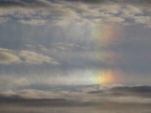 15 sundog (Nuk Tessli In Haaretz)
