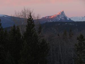 16 red on F P (Nuk Tessli In Haaretz)