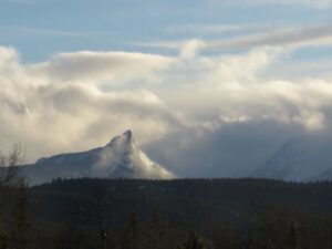 17 evening FP (Nuk Tessli In Haaretz)