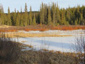 4 evening on pond (Instant Spring)