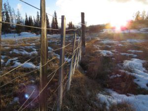 5 sundownb (Instant Spring)