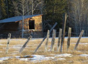 6 barn (Instant Spring)