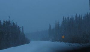 6. going to town – snowing (Lonesome: Memoirs of a Wilderness Dog is Ten Years Old)