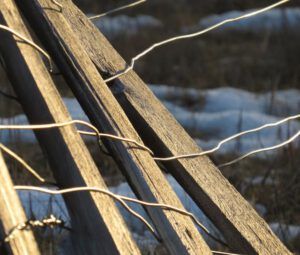 7 fence detail (Instant Spring)
