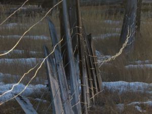 8 wires (Instant Spring)