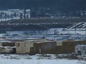 8. logs in town (Lonesome: Memoirs of a Wilderness Dog is Ten Years Old)