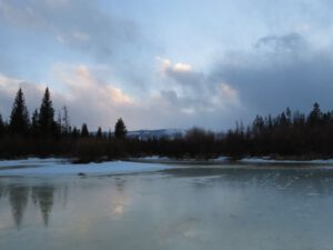 8. pond (Nuk Tessli In Haaretz)