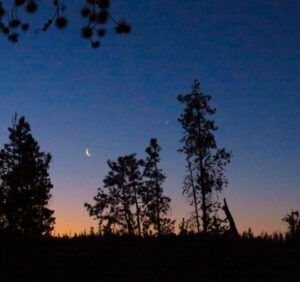 IMG_6192 (Lonesome: Memoirs of a Wilderness Dog is Ten Years Old)