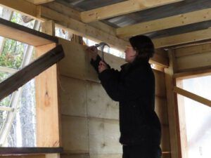 10 nailing wall (Spring Migration)