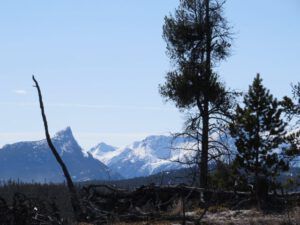 11 Finger Peak (Already Into April)