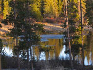 12.  Evening. (Winter Does Not Want to Let Go.)