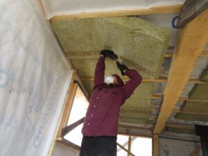 13 insulation b (Spring Migration)