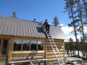 2 first volunteer (Spring Migration)