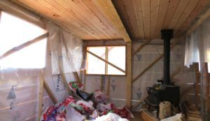 26 interior (Spring Migration)