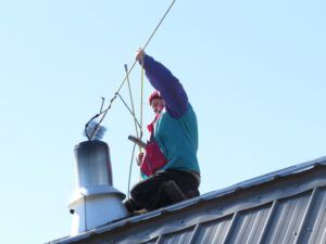 3 sweeping chimney (Spring Migration)