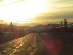 5 to town (Spring Migration)