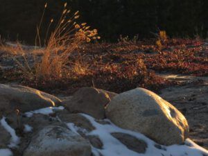 6 sunshine! (Already Into April)