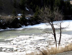 7a Chilco River (Spring Migration)