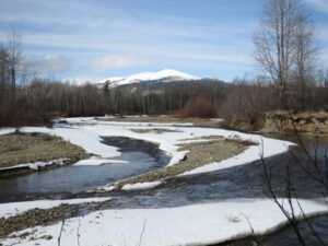 7b my river (Spring Migration)