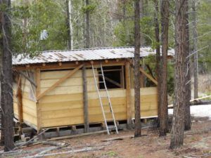 8 cabin outside (Spring Migration)